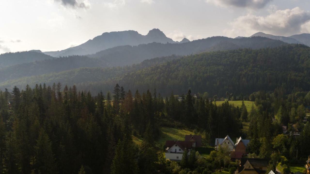 Willa Cichy Potok Zakopane Exteriér fotografie